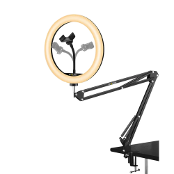 10 inc Masa Üstü Ring Light Twitch TikTok ve Zoom Işığı Yayıncı Seti - Riolink